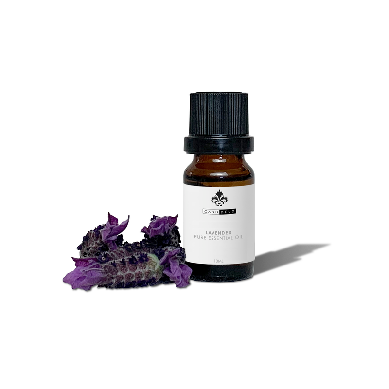 CANNDEUX FRENCH LAVENDER ESSENTIAL OIL